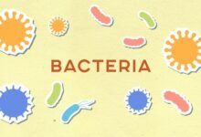 اسباب الالتهابات المهبلية