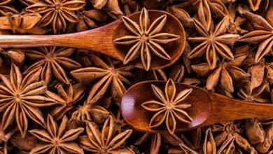 star anise