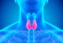 هرمونات الغدة الدرقية