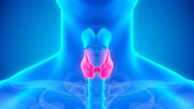 Thyroid Hormones
