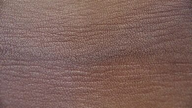 الشواك الأسود