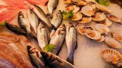انواع الاسماك البحرية للاكل