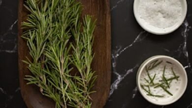 فوائد عشبة اكليل الجبل